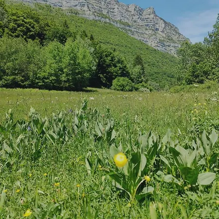 Apartmán La Planta De Cossey 2 *